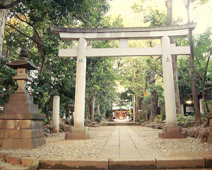Yoyogi_Hachimangu_Shrine