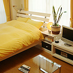 Furniture, Bed, Dining Table, Sofa-bed